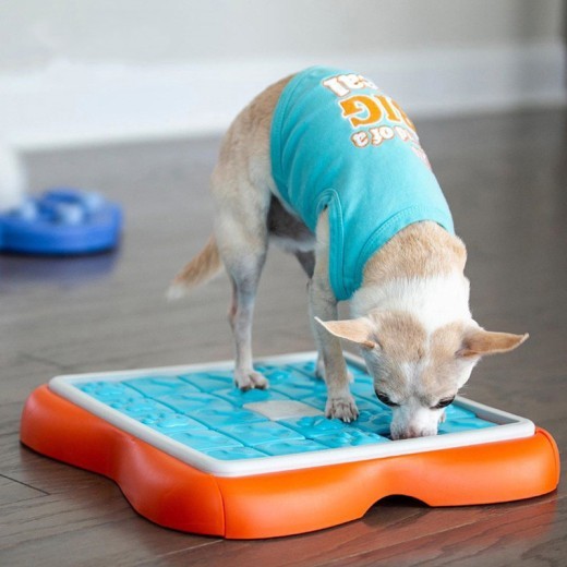 Juguete intelectual con comida oculta para perros