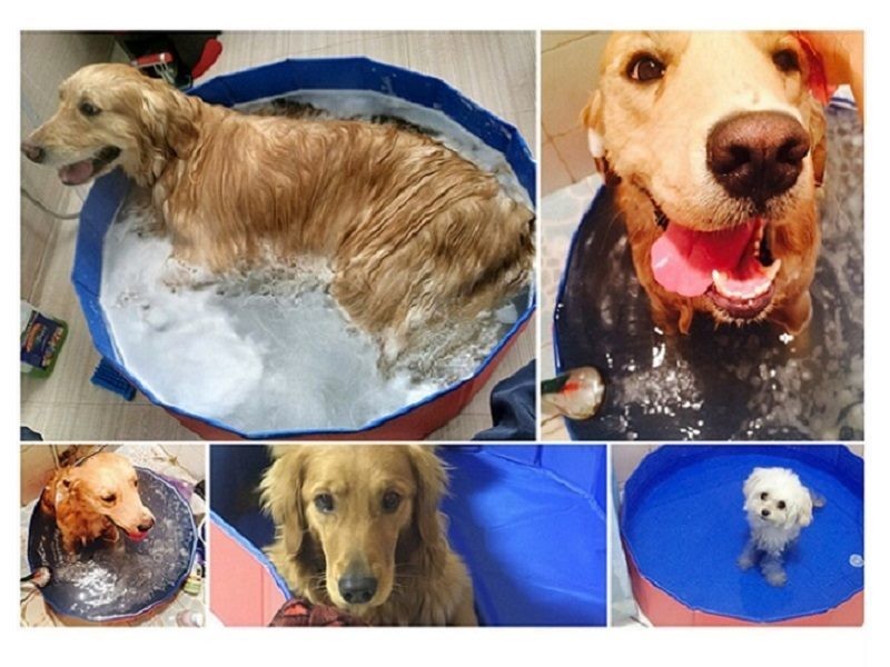 Piscina para perros, baño para gatos, cachorros, mascotas, hogar, exterior, interior, portátil, plegable, duradera