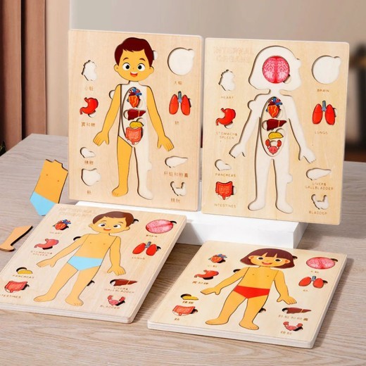 Juguetes Montessori de madera para niños, rompecabezas de órganos del cuerpo humano, juguete educativo, actividades de aprendizaje para preescolar y jardín de infantes, tablero de actividades.