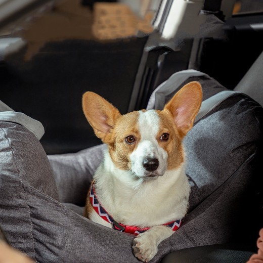 Cojín para asiento de coche para perro y copiloto