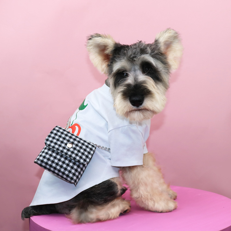 Mochila para perros pequeños y gatos, mochila escolar para perros, accesorios para mascotas