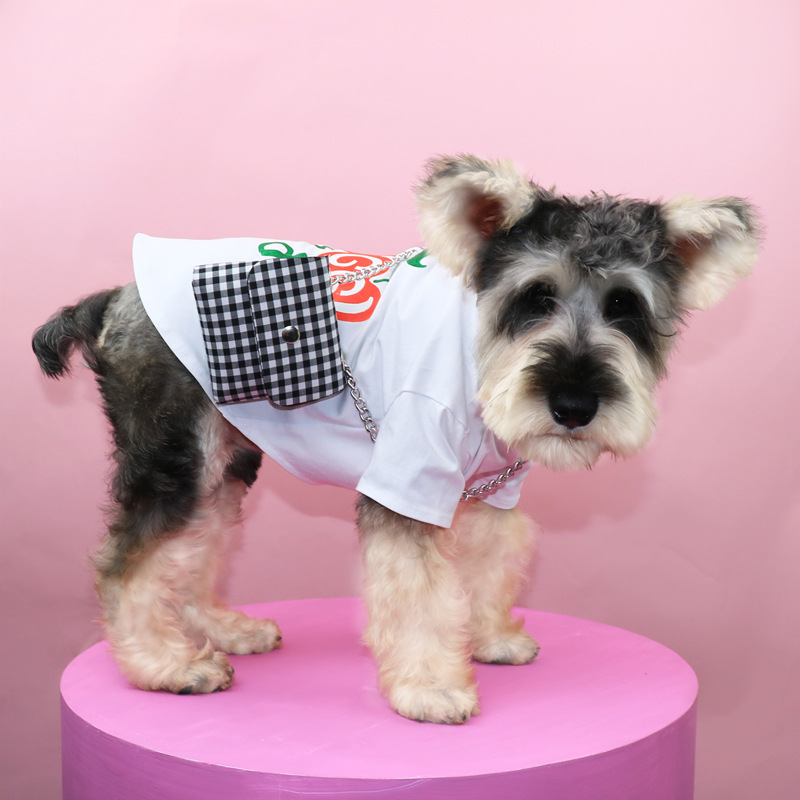 Mochila para perros pequeños y gatos, mochila escolar para perros, accesorios para mascotas