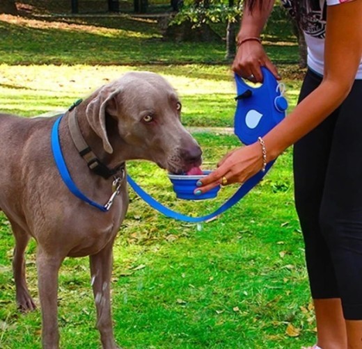 Bolsa de basura con hervidor de cuerda de tracción para mascotas