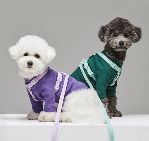 Correa para mascotas Macaron Ins Wind