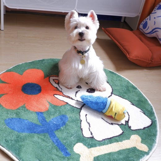 Alfombra gruesa de cachemira para dormitorio en West Highland