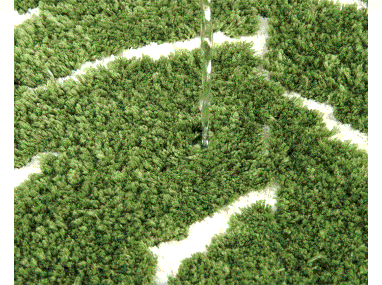 Alfombra de imitación de cachemira para sala de estar, dormitorio, antideslizante y antiincrustante.