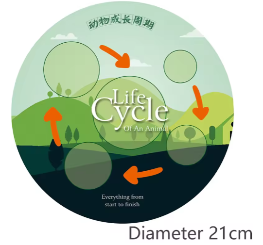 Simulación del ciclo de vida de los animales, modelo Montessori, juguete para niños, insectos, plantas, ciclo de crecimiento, biología, ciencia, juguete educativo abierto.