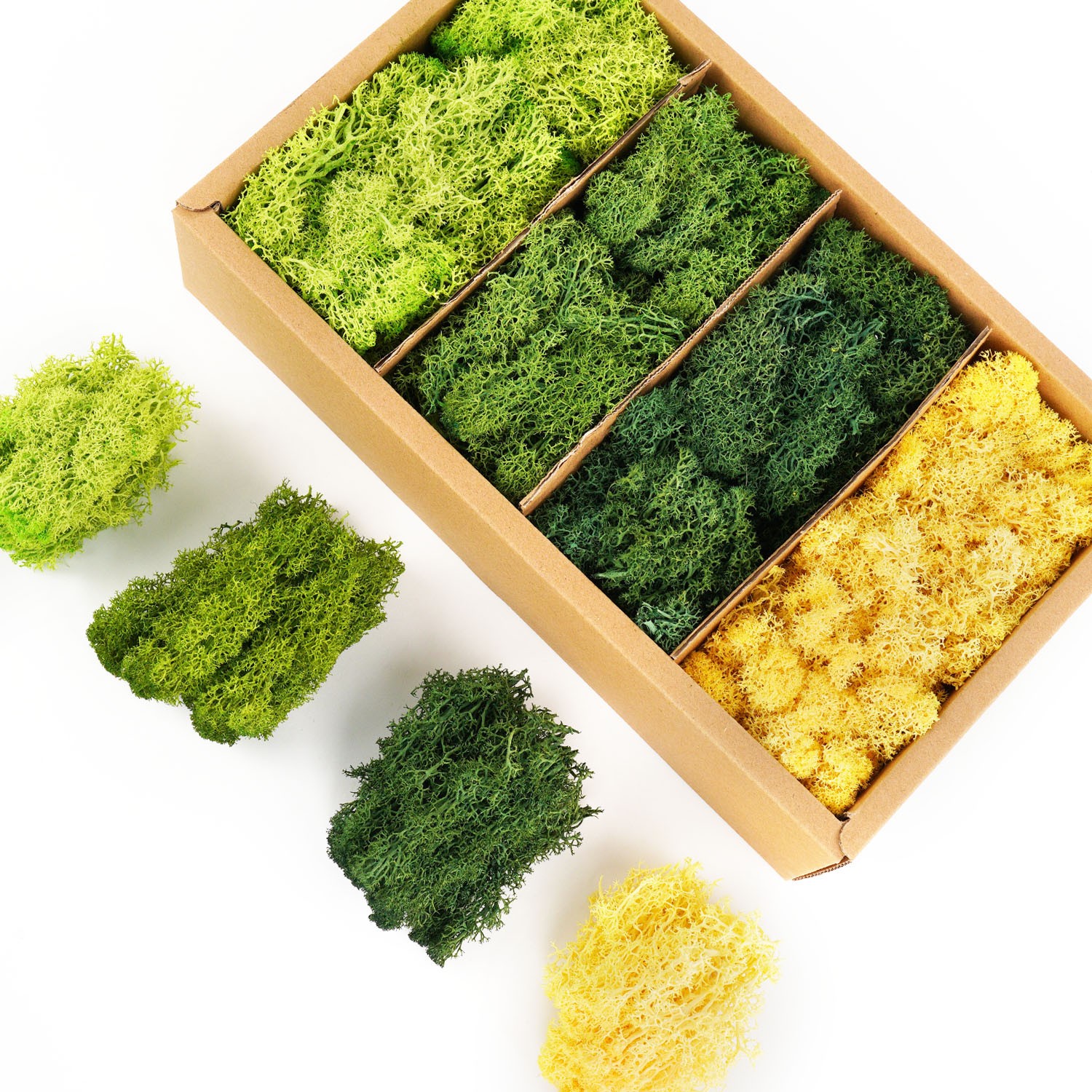Plantas verdes artificiales Musgo de vida eterna