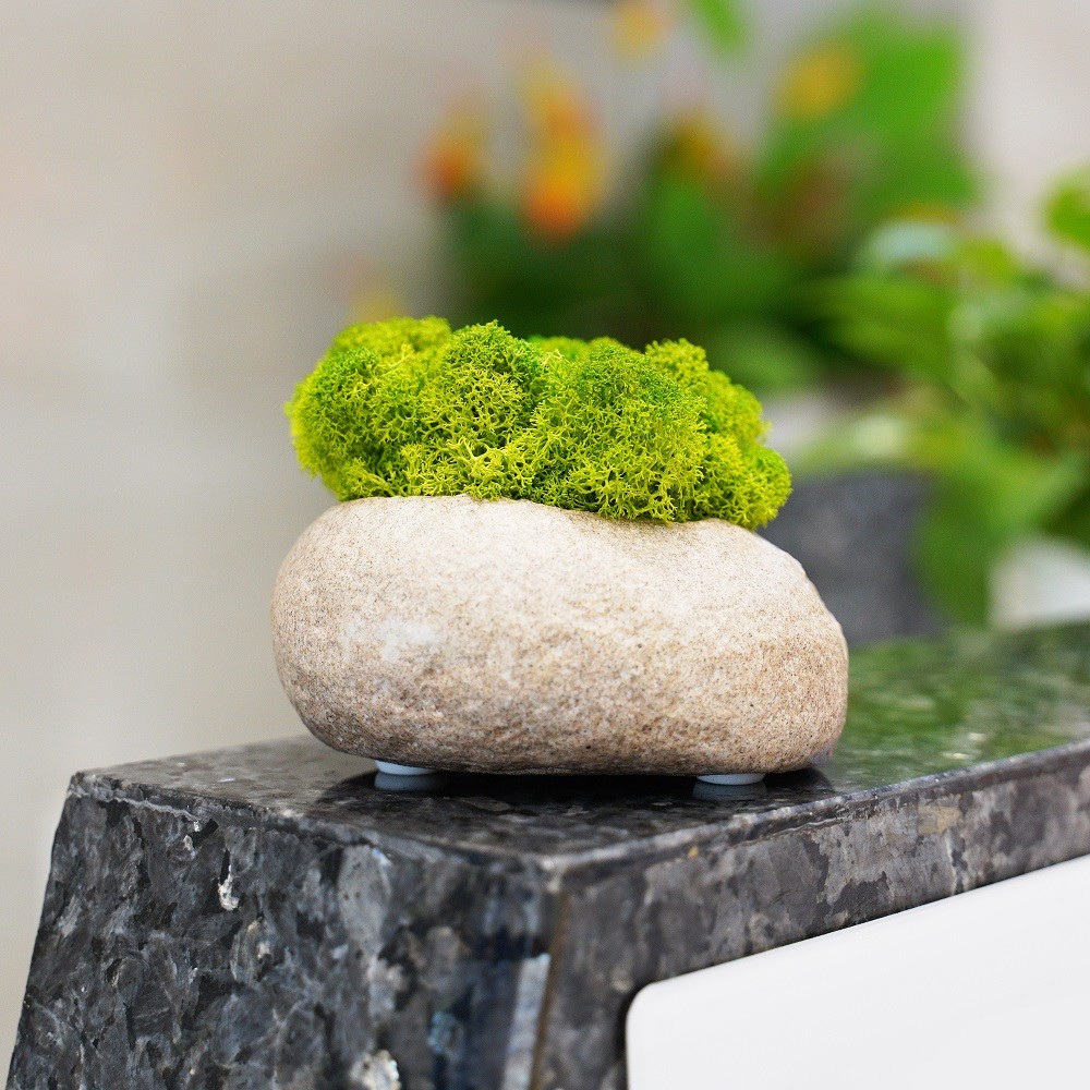 Plantas verdes artificiales Musgo de vida eterna