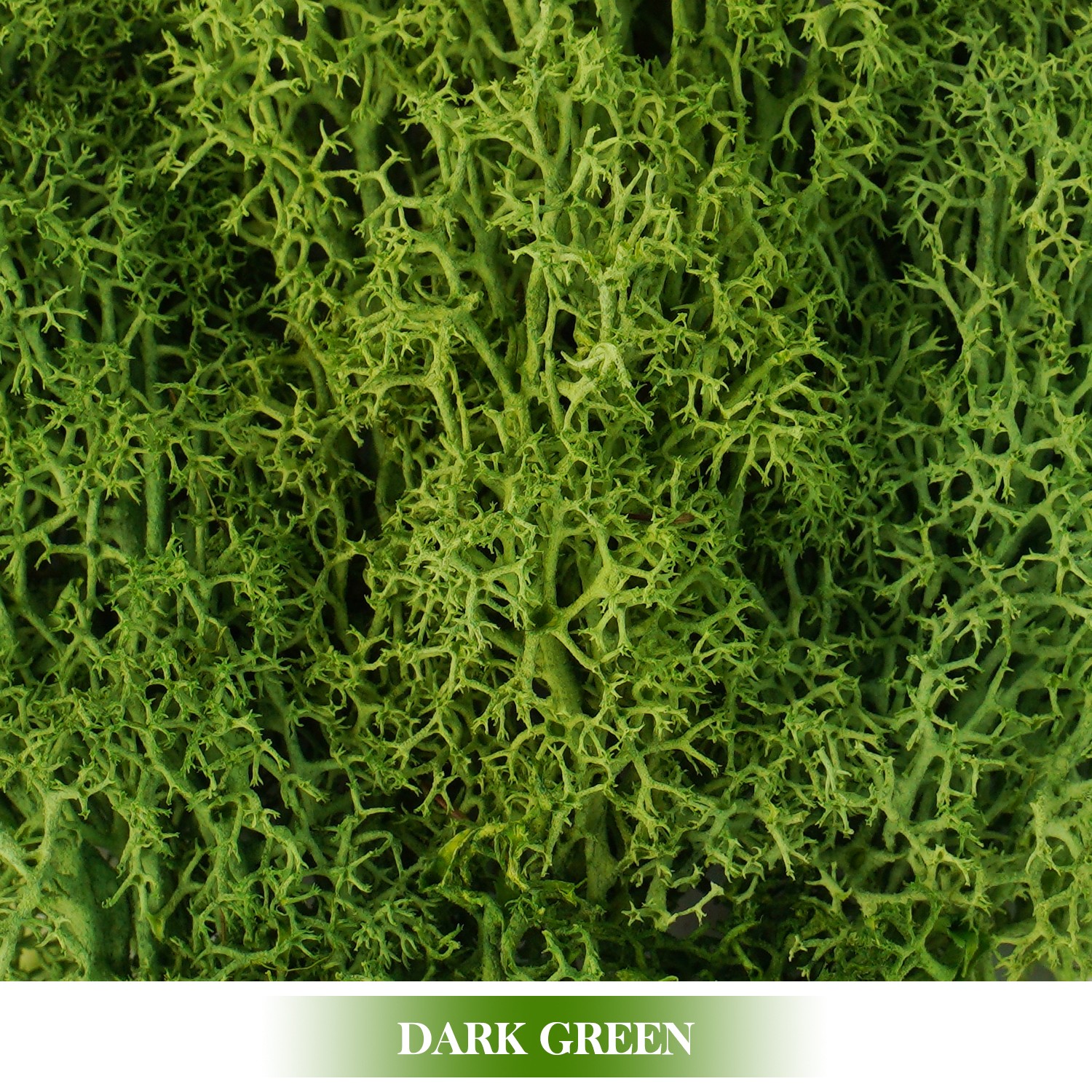 Plantas verdes artificiales Musgo de vida eterna
