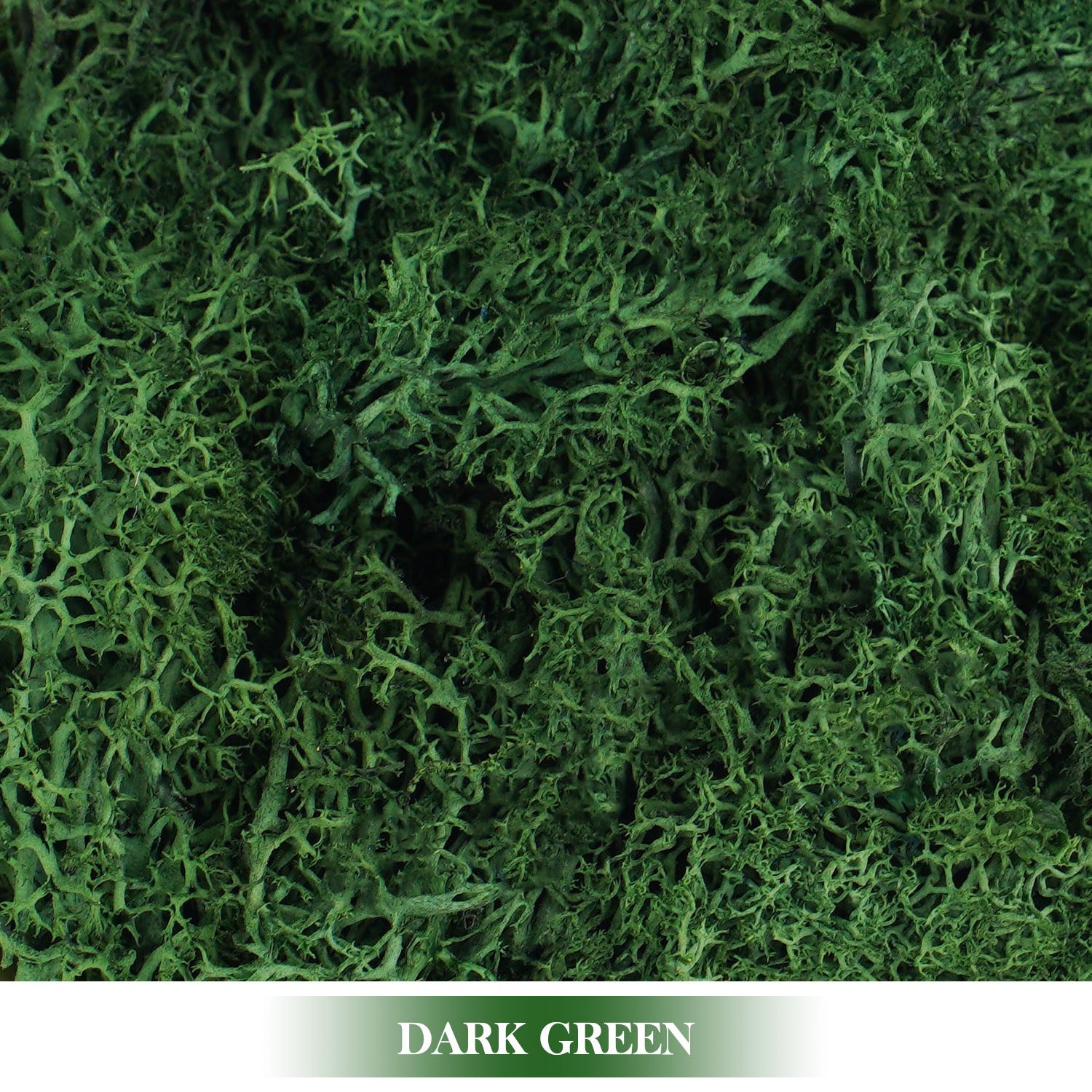 Plantas verdes artificiales Musgo de vida eterna