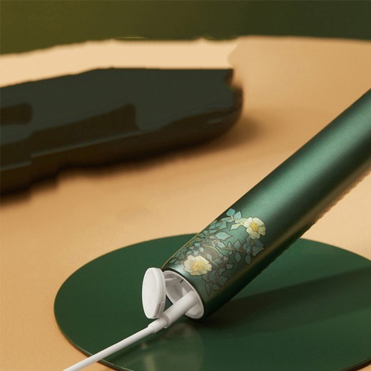 Cepillo de dientes eléctrico sónico con caja de regalo Green Rose
