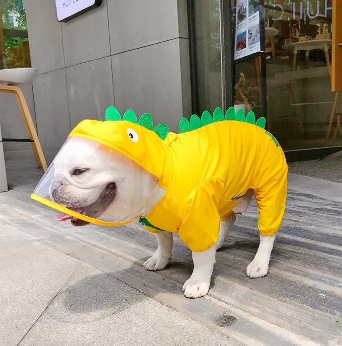Impermeable de dinosaurio para mascotas