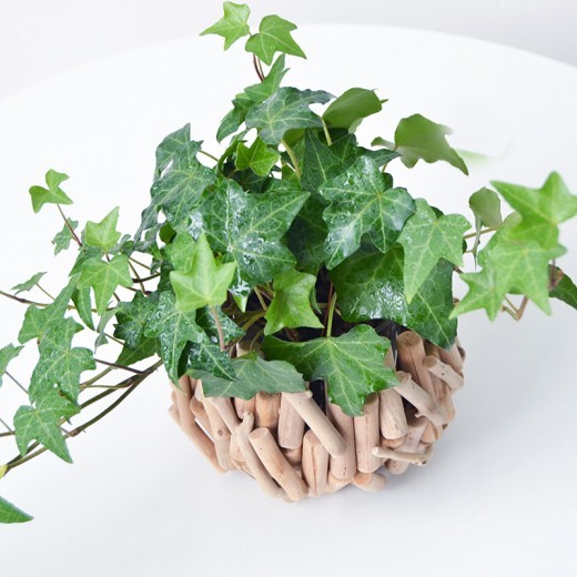 Jarrón creativo decorativo ligero de lujo para el hogar, la mesa y la oficina.