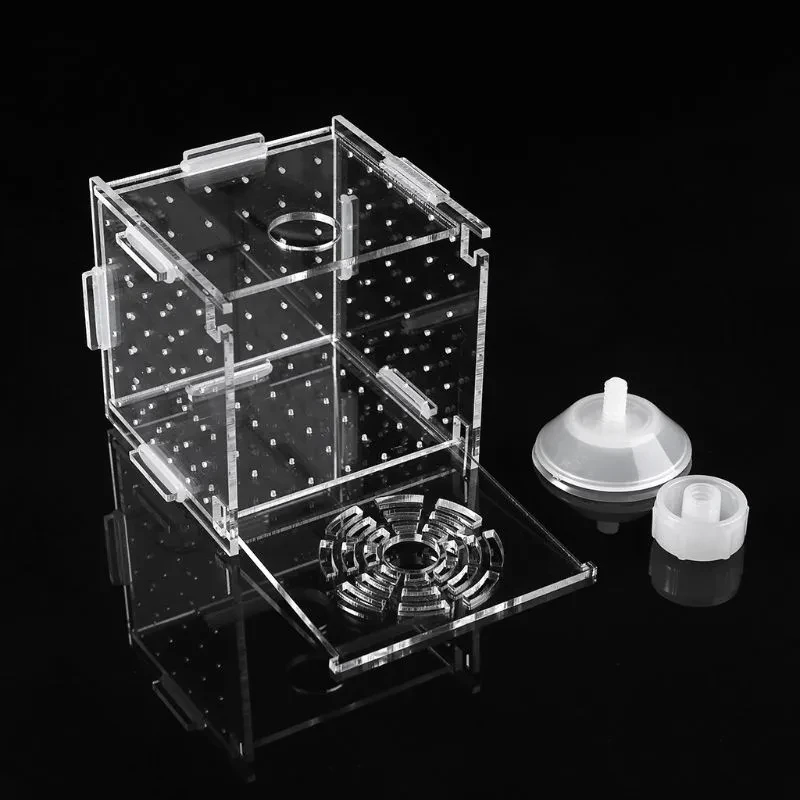 Caja de aislamiento para cría de peces de acuario, incubadora de crías, pecera.