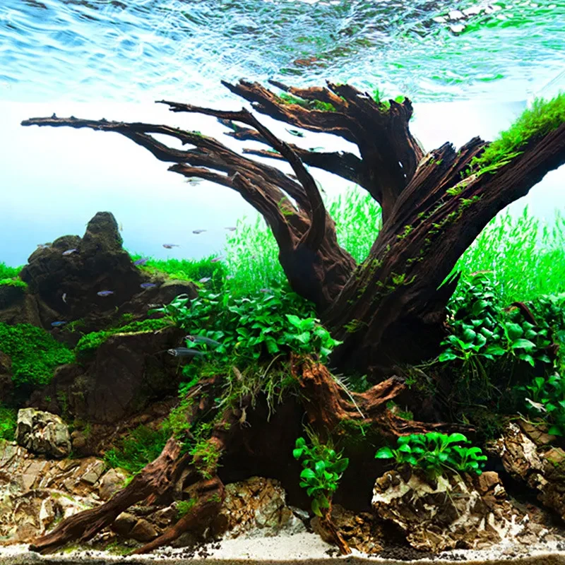 Tanque de peces paisajismo fregadero madera agua