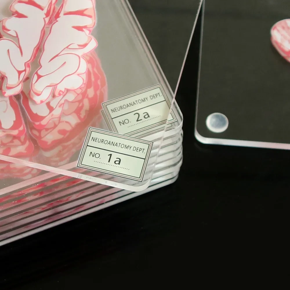 Posavasos acrílicos con forma de cerebro floral creativo, recuerdos de fiesta