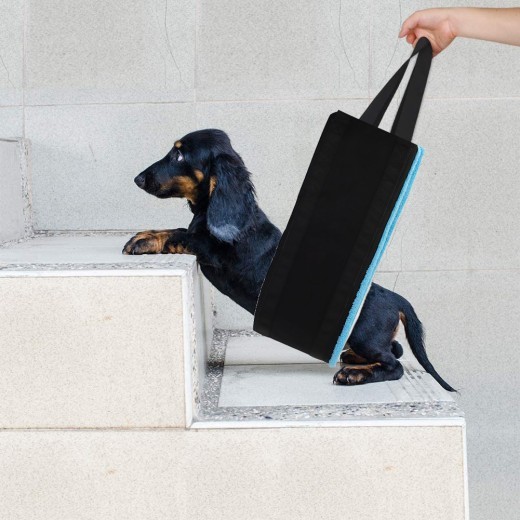 Nuevos productos para mascotas Cinturón auxiliar para perros Pet Power