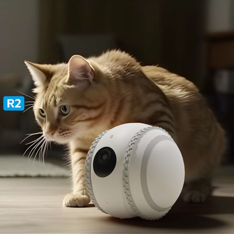 Robot acompañante para mascotas que monitorea gatos