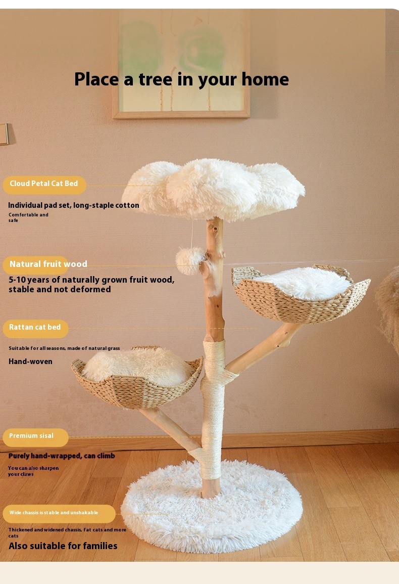 Árbol de frutas natural para gatos, estructura de escalada de madera maciza de ratán, nido para gatos, árbol para gatos