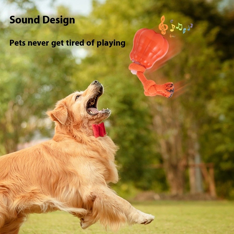 Pelota automática para perros con sonido para entrenamiento al aire libre