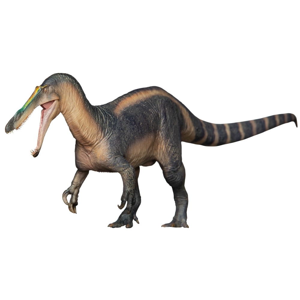 PNSO Dinosaurio Prehistórico Modelo 67 ThaBo el Suchomimus