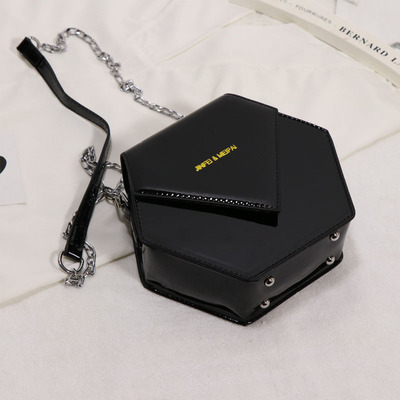 Bolso francés de nicho diagonal para mujer, bolso con cadena salvaje.