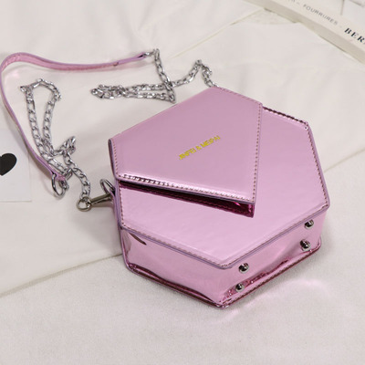 Bolso francés de nicho diagonal para mujer, bolso con cadena salvaje.