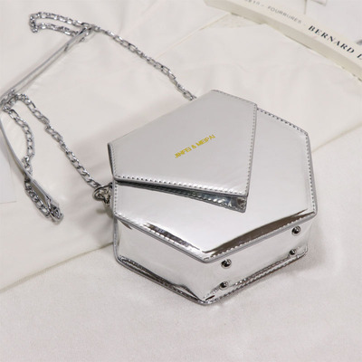 Bolso francés de nicho diagonal para mujer, bolso con cadena salvaje.