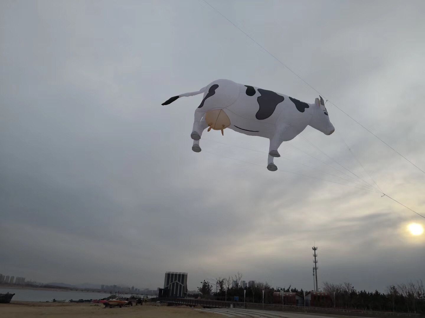 Daisy Cow: Soft, Three Meters with Pink tits๐๐