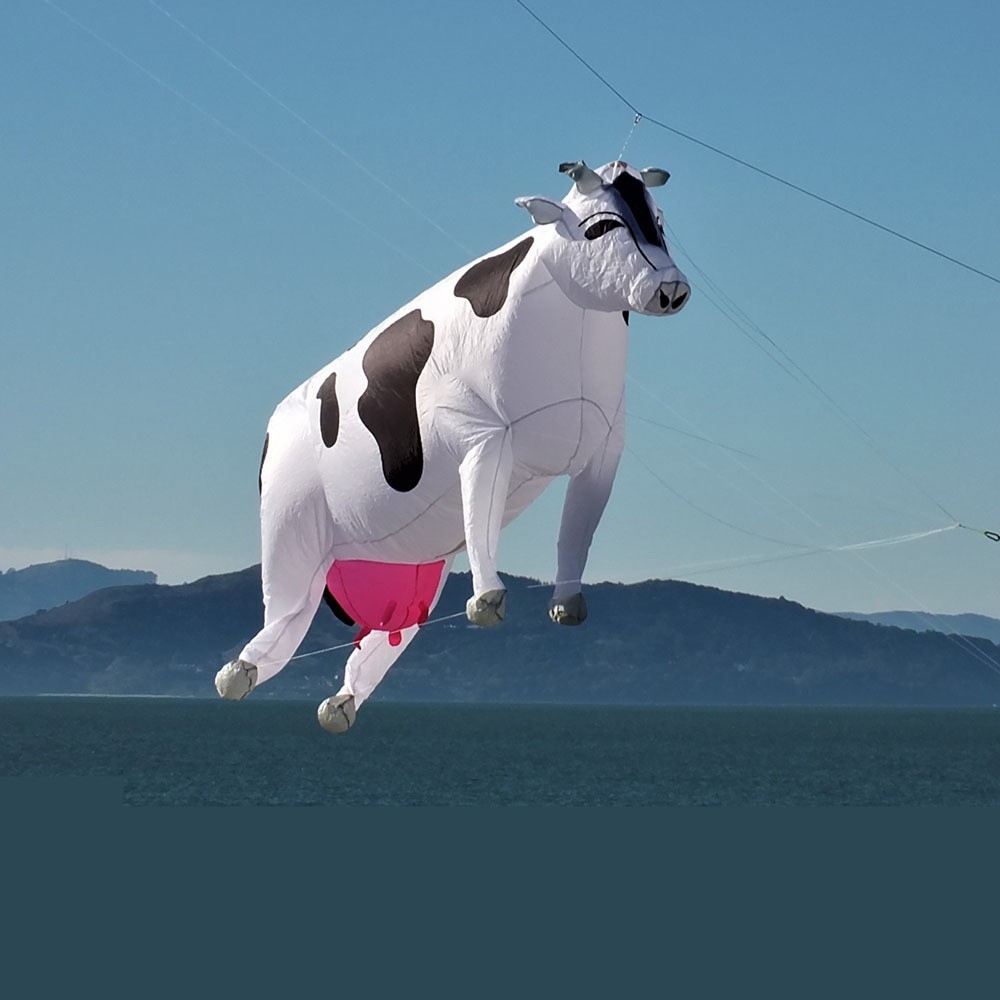 Daisy Cow: Soft, Three Meters with Pink tits๐๐