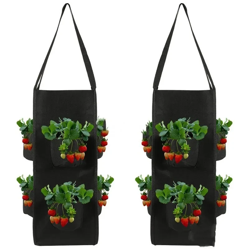 strawberry pot