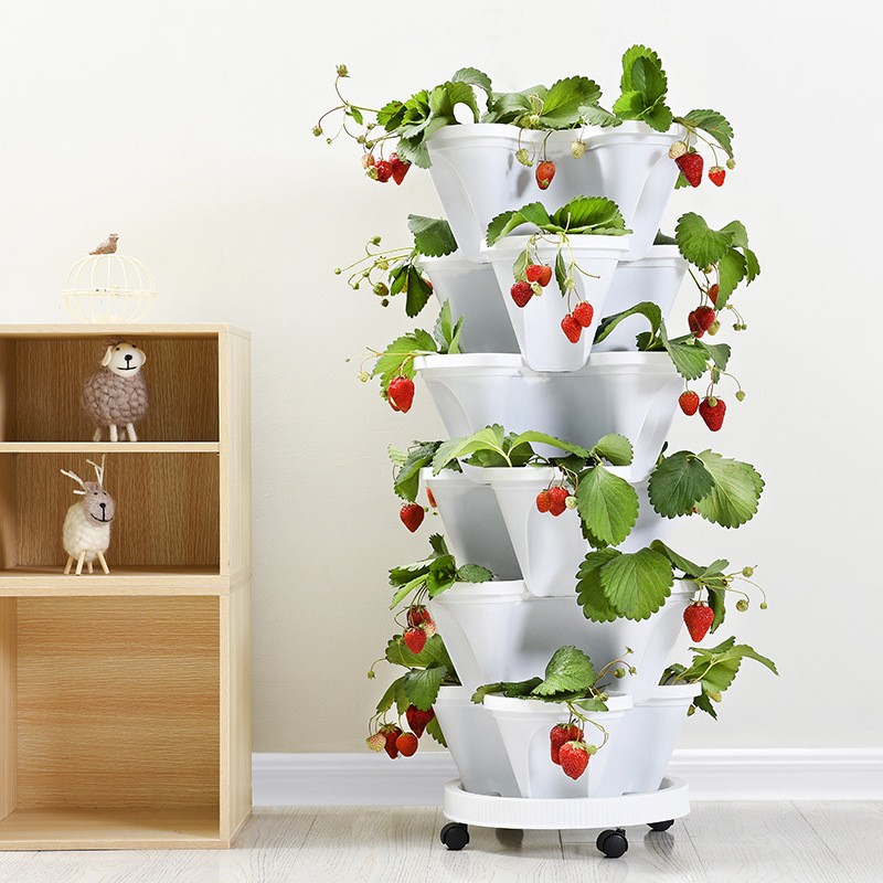 strawberry pot