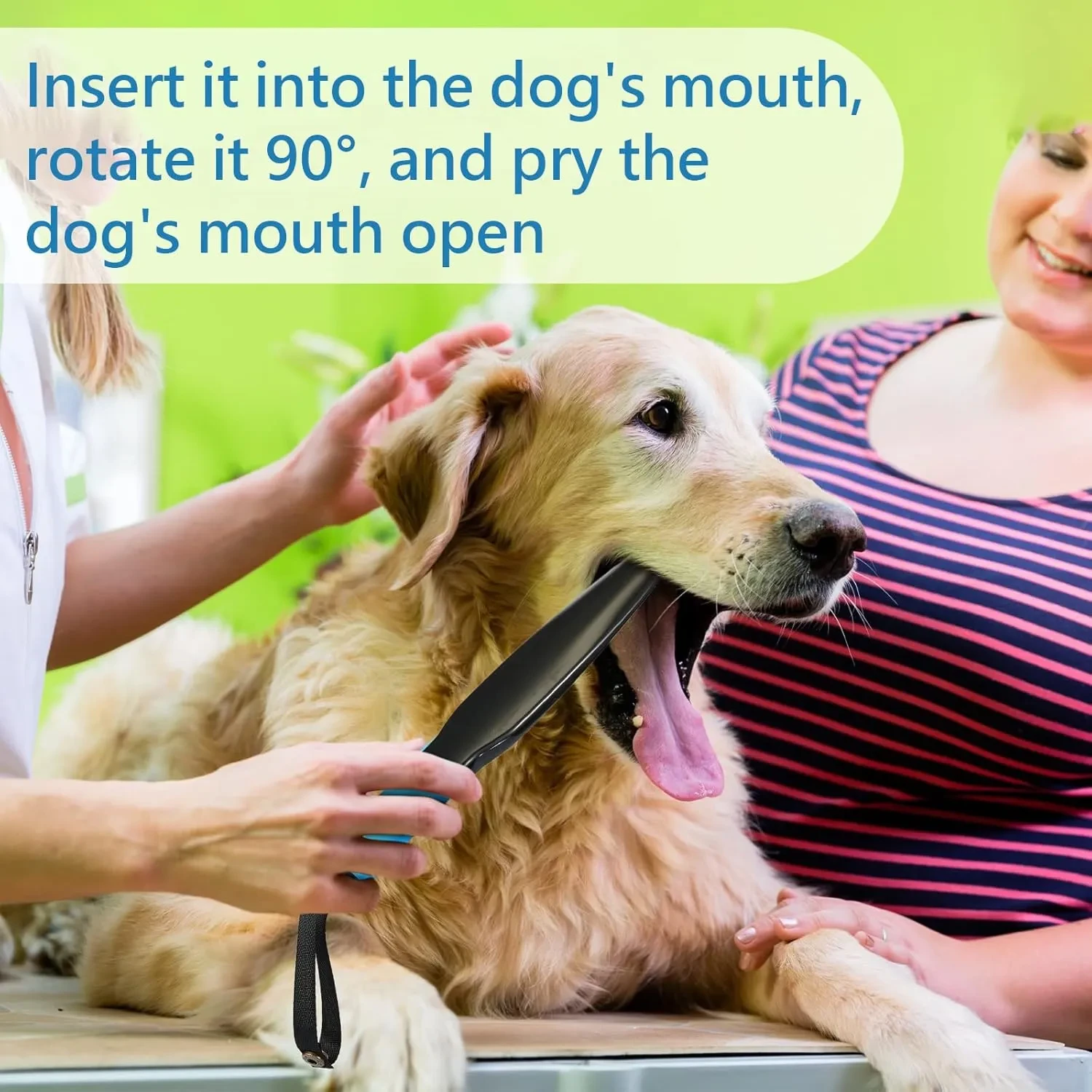 Training Chew Stick