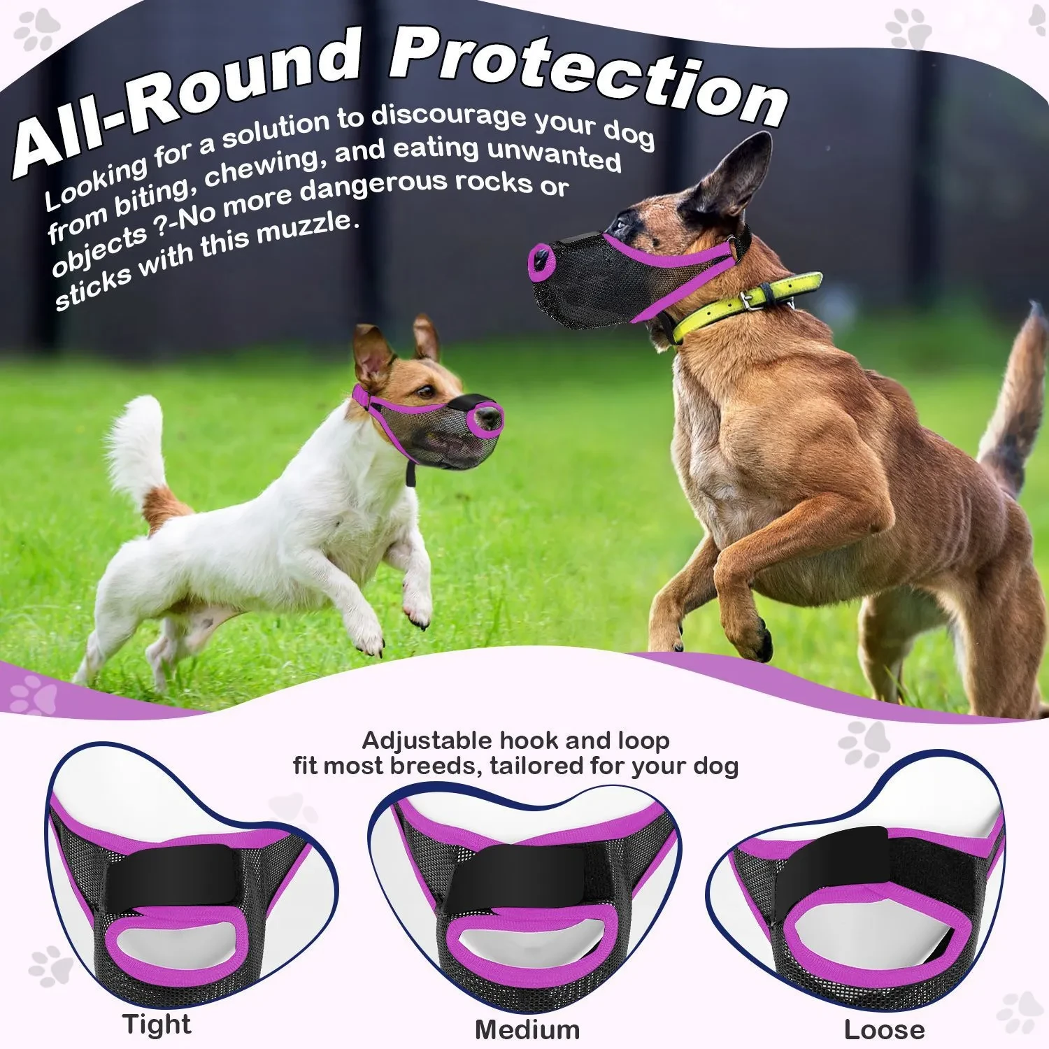 A Muzzle For A Small Dog