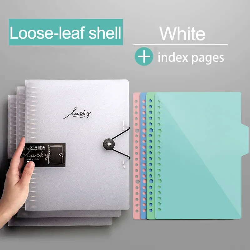 Binders Bulk