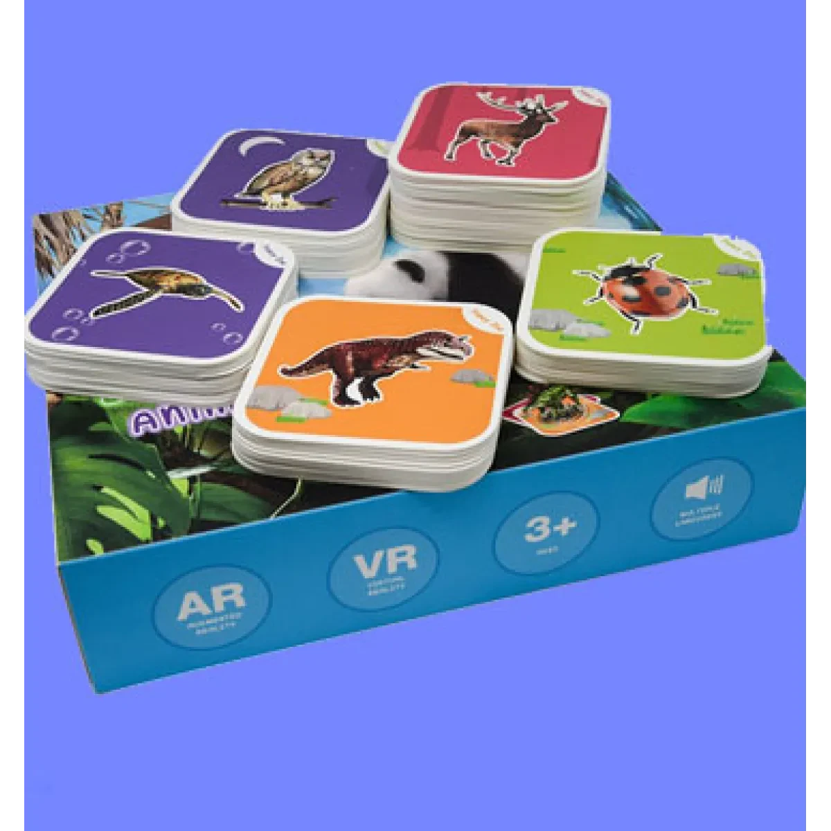 Flashcards