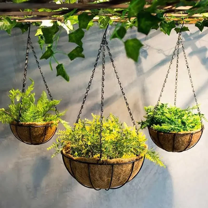 Hanging Flower Baskets