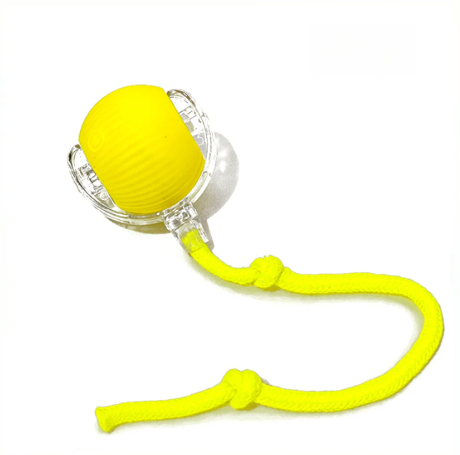 PawBot Smart Pet Ball