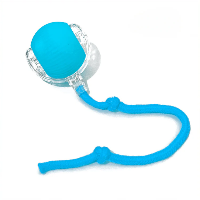 PawBot Smart Pet Ball