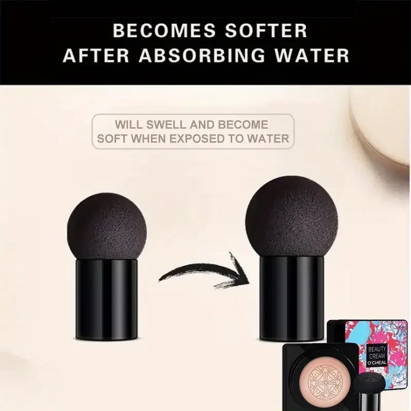 The Asian-Inspired Mushroom Head Air Cushion BB Cream & Concealer 2-in-1 is