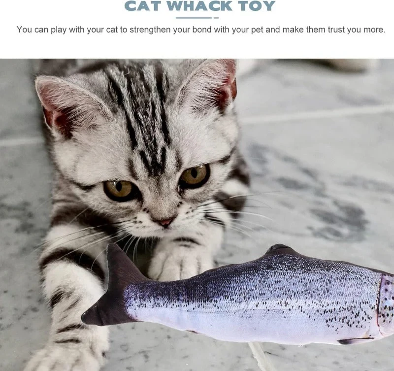 Realistic Fish Plush Toys for Cats