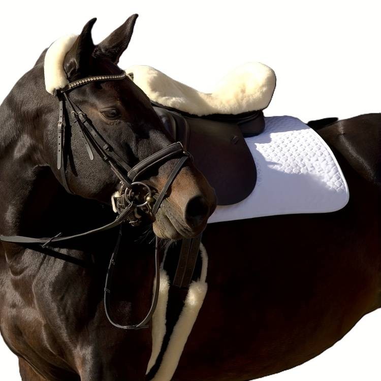 TGW RIDING Equestrian Dressage Girth – Plush Comfort, Stable Performance & Premium Horse Protection