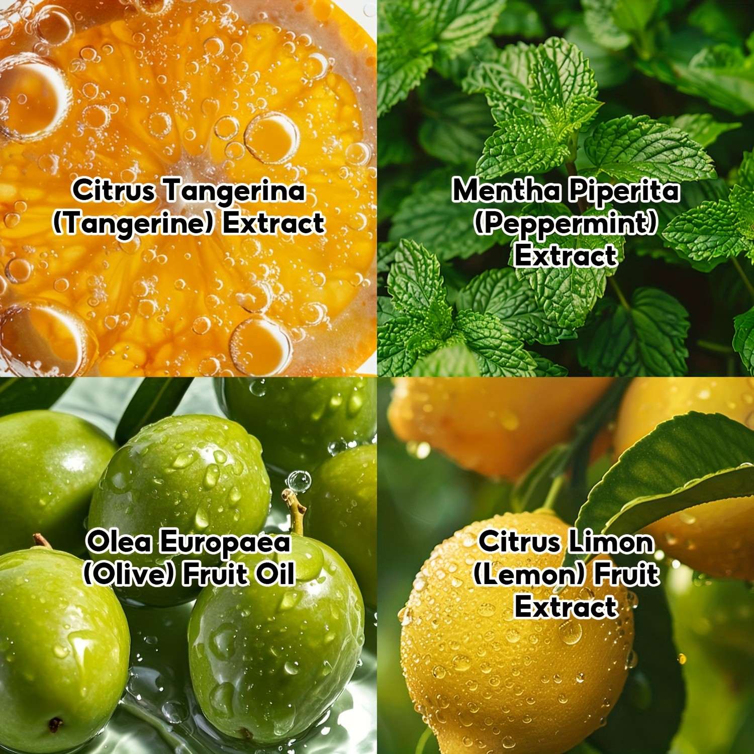 SUMAX Men’s & Women’s Citrus Deodorizing Fragrance Spray – Long-Lasting Fresh Citrus Aroma in a Sleek Travel Bottle