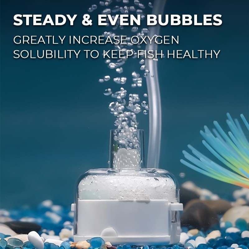 iWhale Mini Sponge Filter with Foam, Air Stone & Suction Cup – Safe Bio-Filtration for Small Tanks up to 18.93L