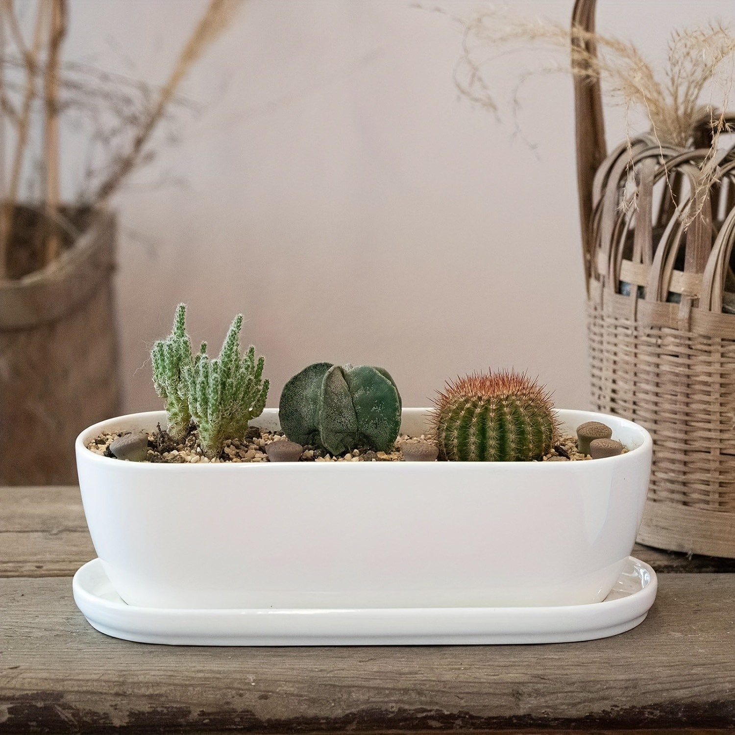CEEFU Oval Ceramic Planter Pot with Drainage & Saucer – Modern Indoor/Outdoor Pot for Succulents, Herbs & Cactus