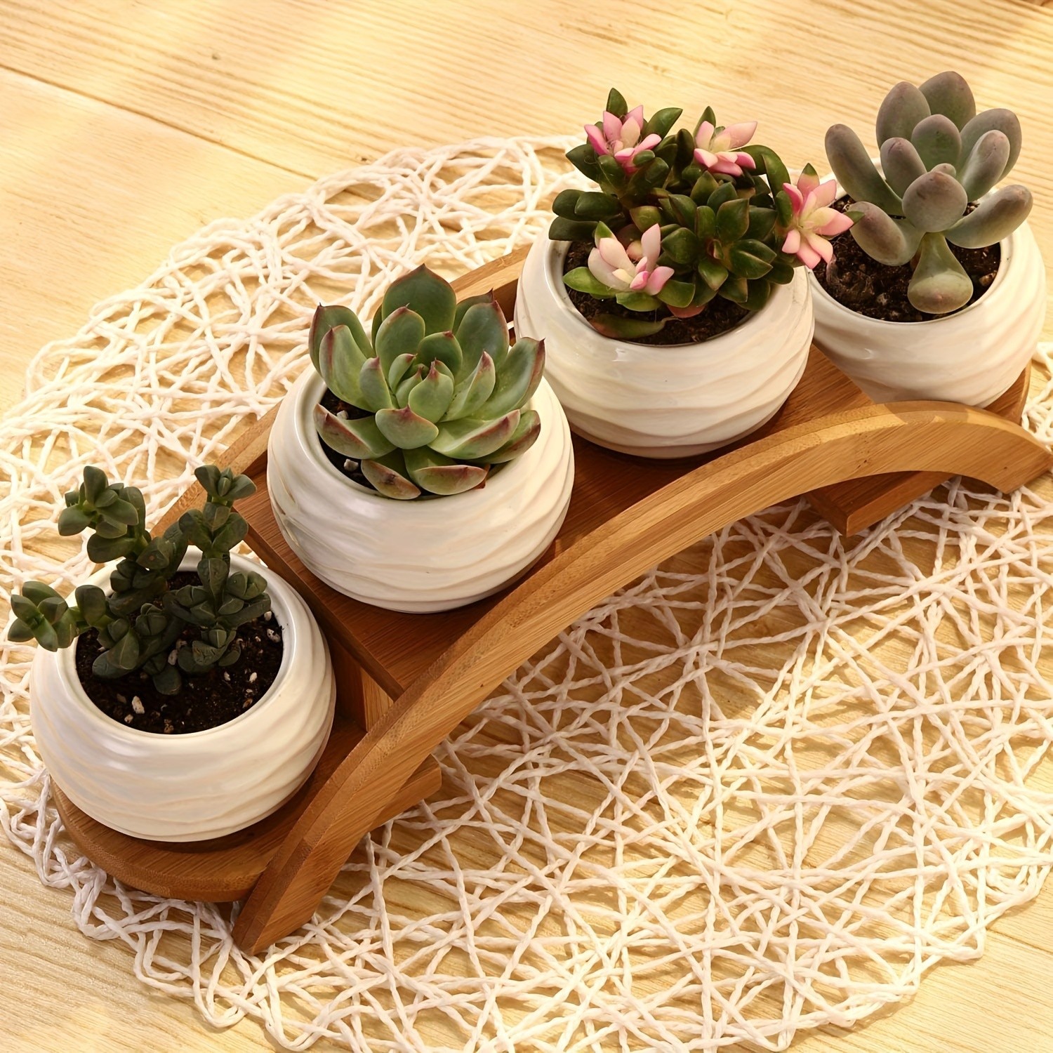 CEEFU 4-Pot Ceramic Succulent Planter Set with Stand – Modern White Ripple-Texture Pots with Drainage for Indoor & Outdoor Plants