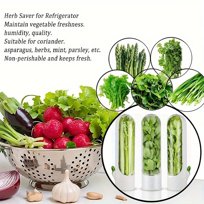 YUHUPHYLLIC Herb & Vegetable Preservation Pod – Fresh Coriander & Mint Container for Long-Lasting NZ Fridge Storage