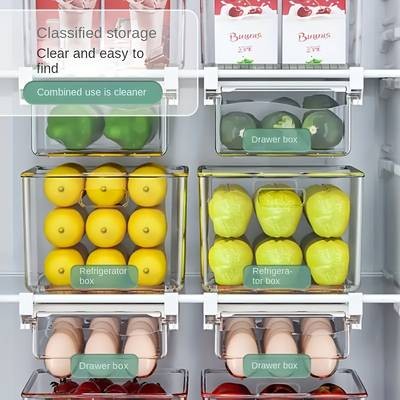 FARIDABIO 2pcs Refrigerator Storage Box – Wall Hanging, Space-Saving Food Storage Organizer