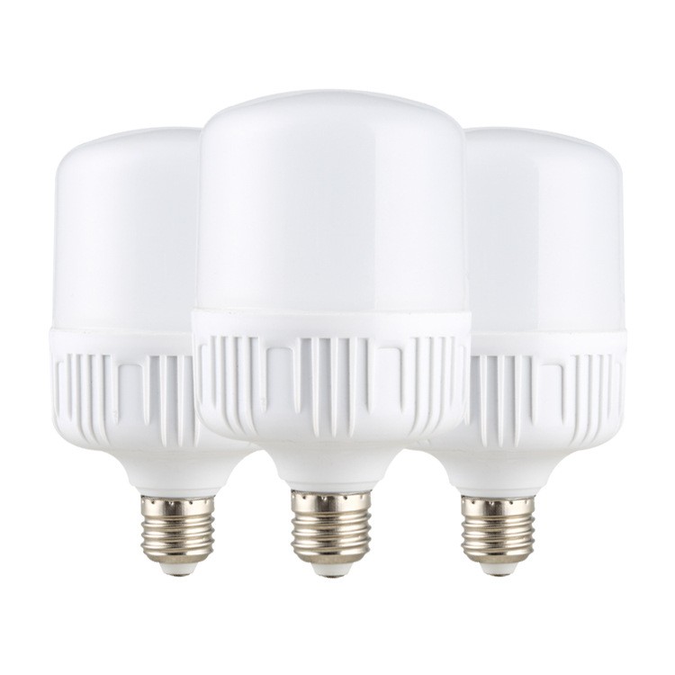 LED Light Bulb White